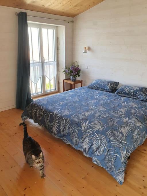 Le Chai Rit Villa Rivedoux-Plage Buitenkant foto